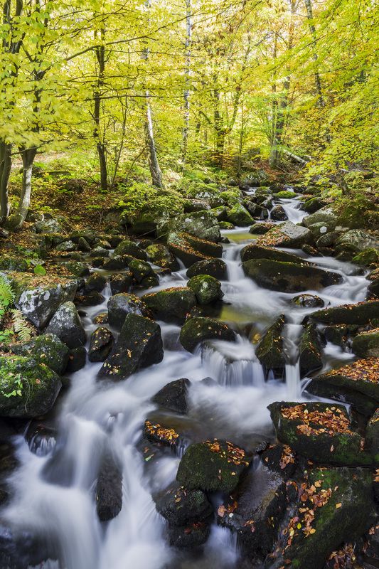 Boyana river  фото превью