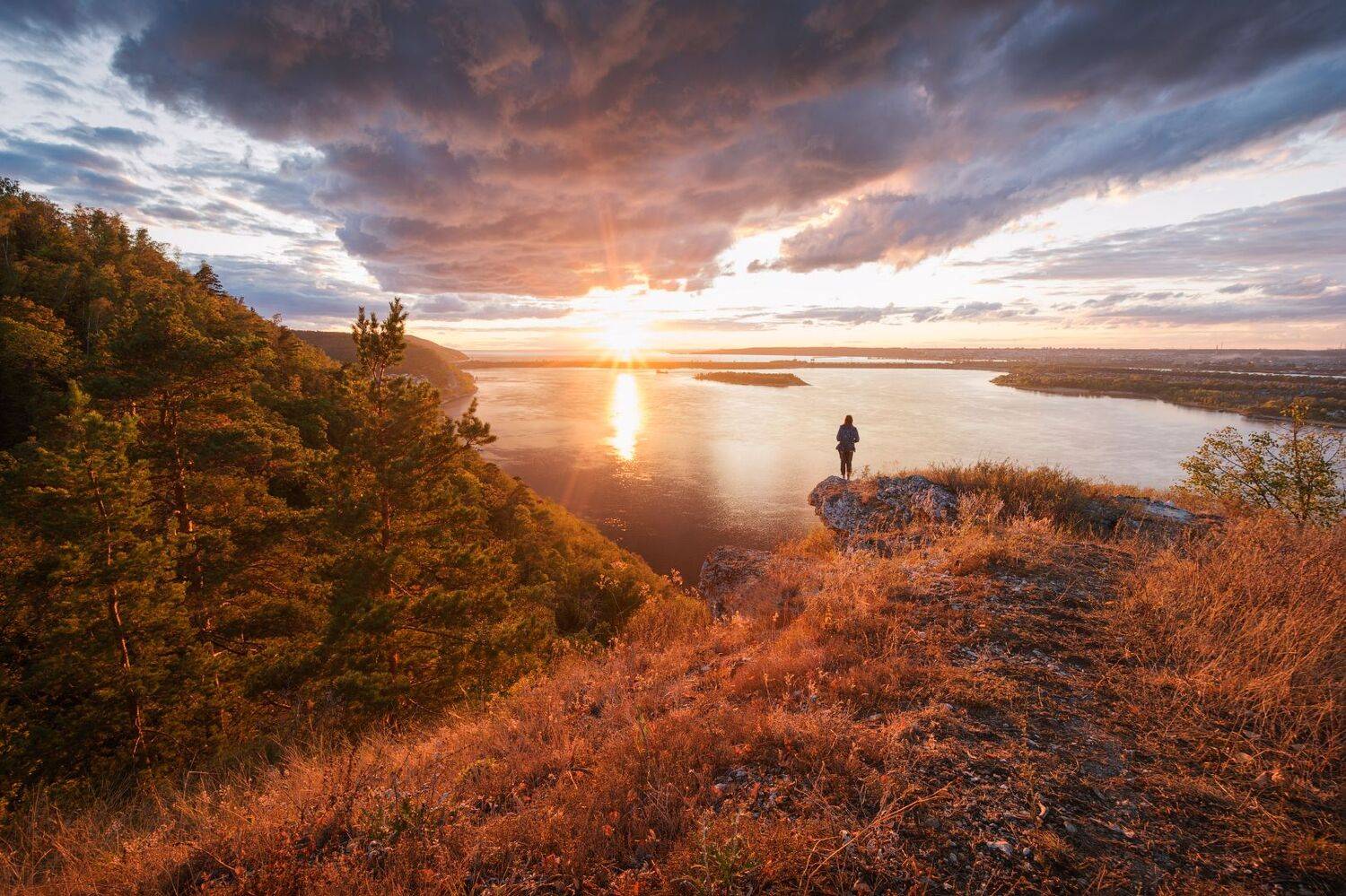 , Алексей Проняхин