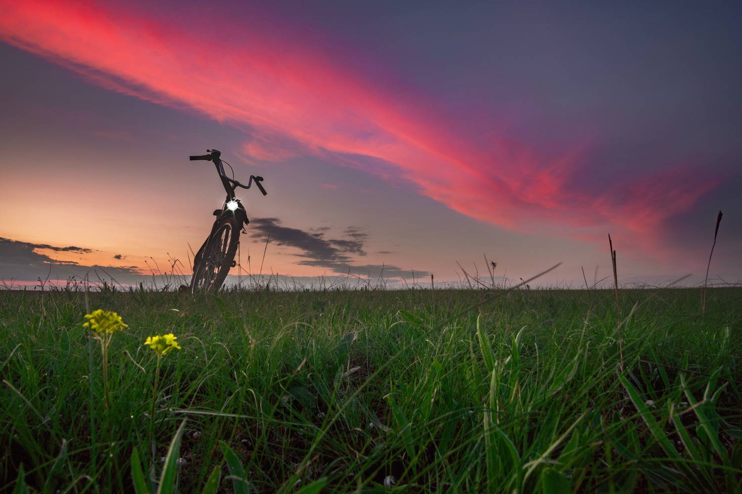 , Кривцов Андрей