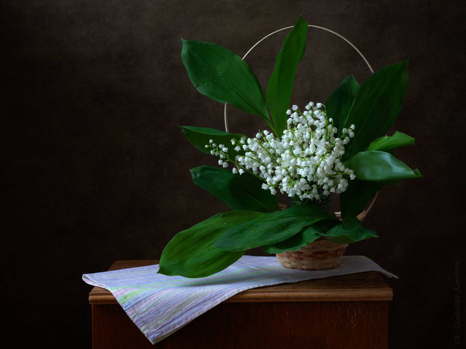 , Анжелика Королева