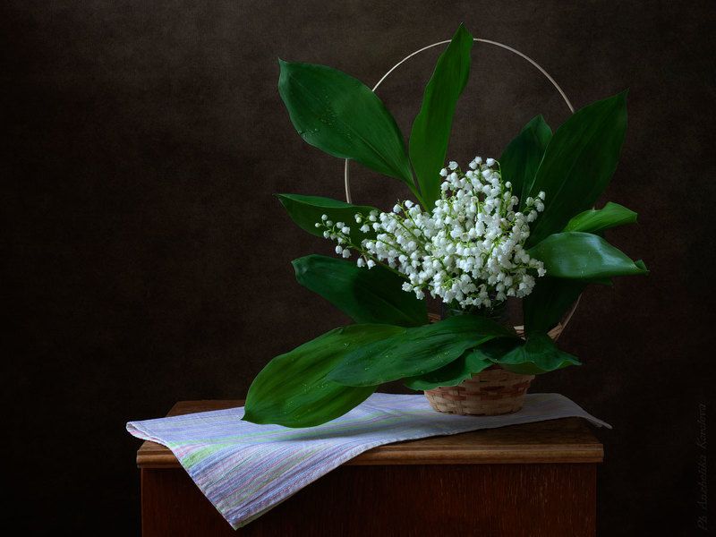 фото превью