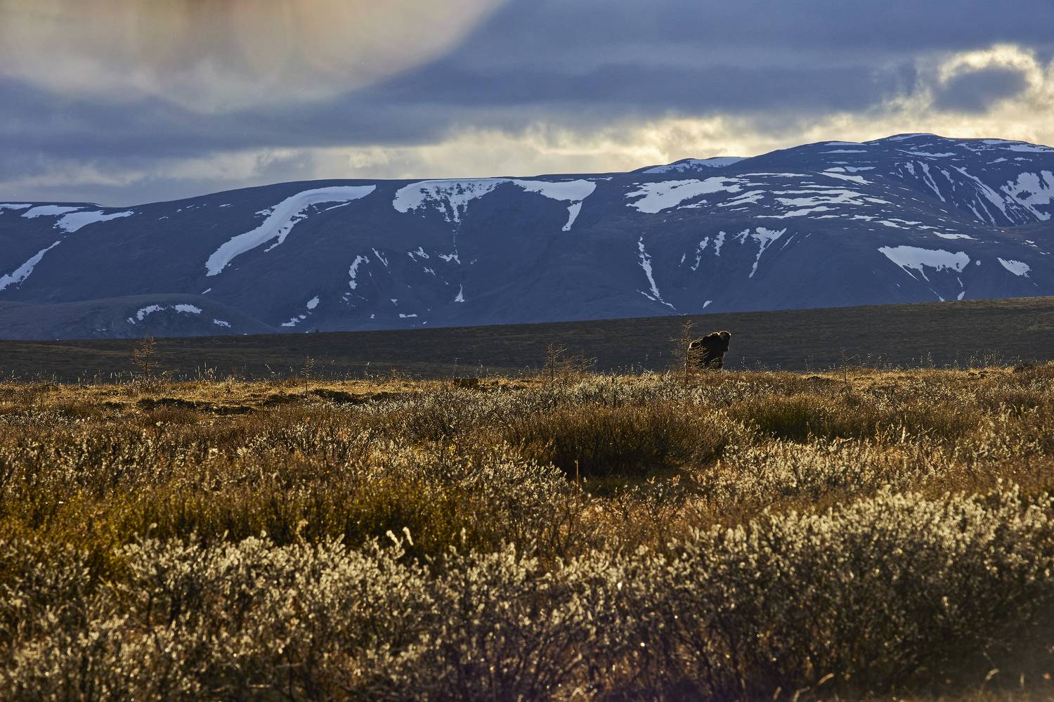 , Байбородин Михаил