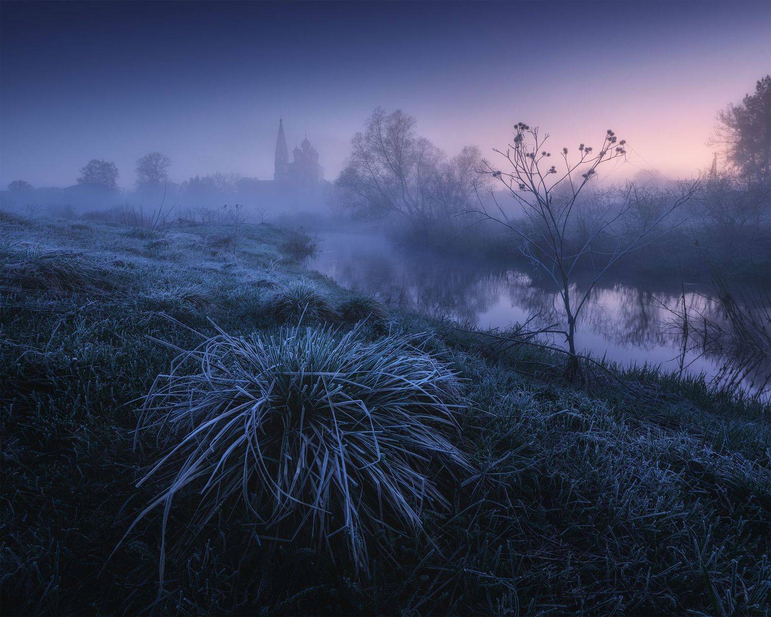 , Политова Анна