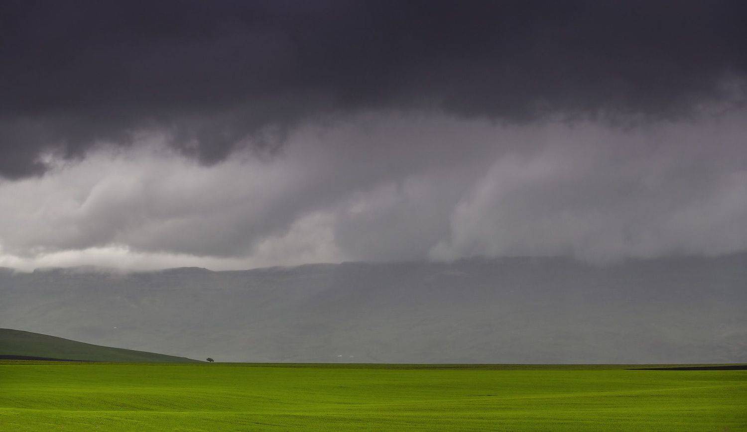 , Пирог Борис