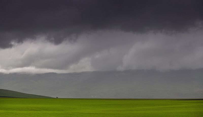 одиночество... фото превью