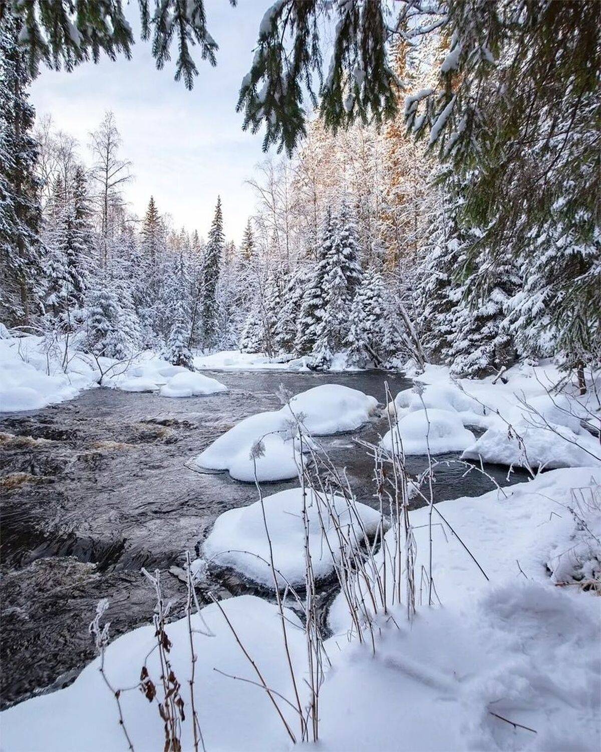 , Петр Косых