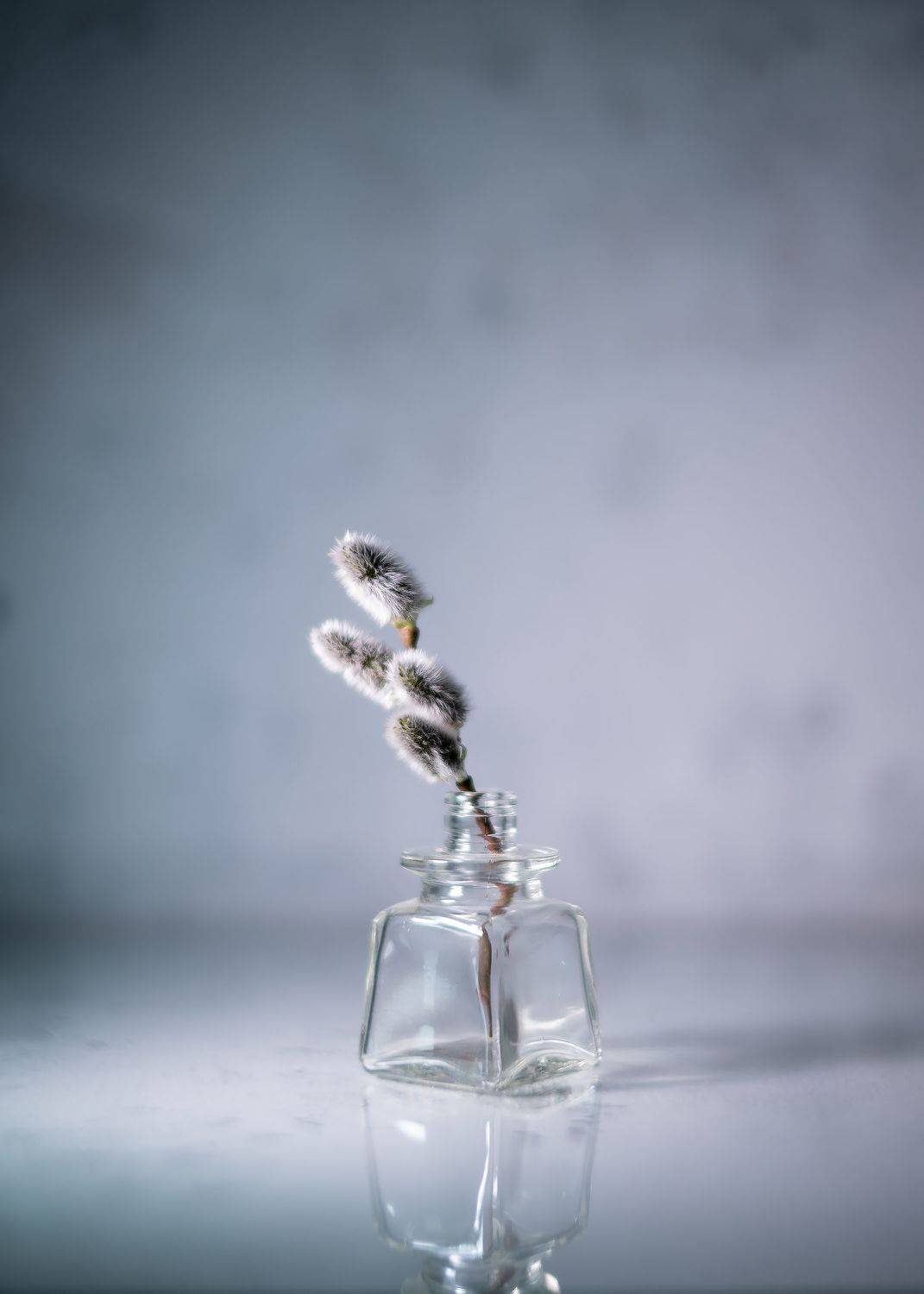 Верба весна натюрморт минимализм серый, Тата Бакбак