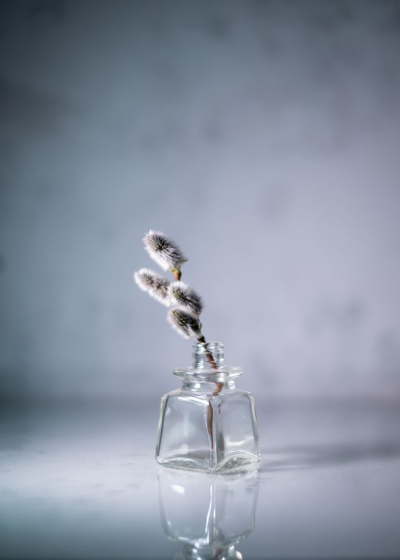 Верба весна натюрморт минимализм серый Вербное фото превью