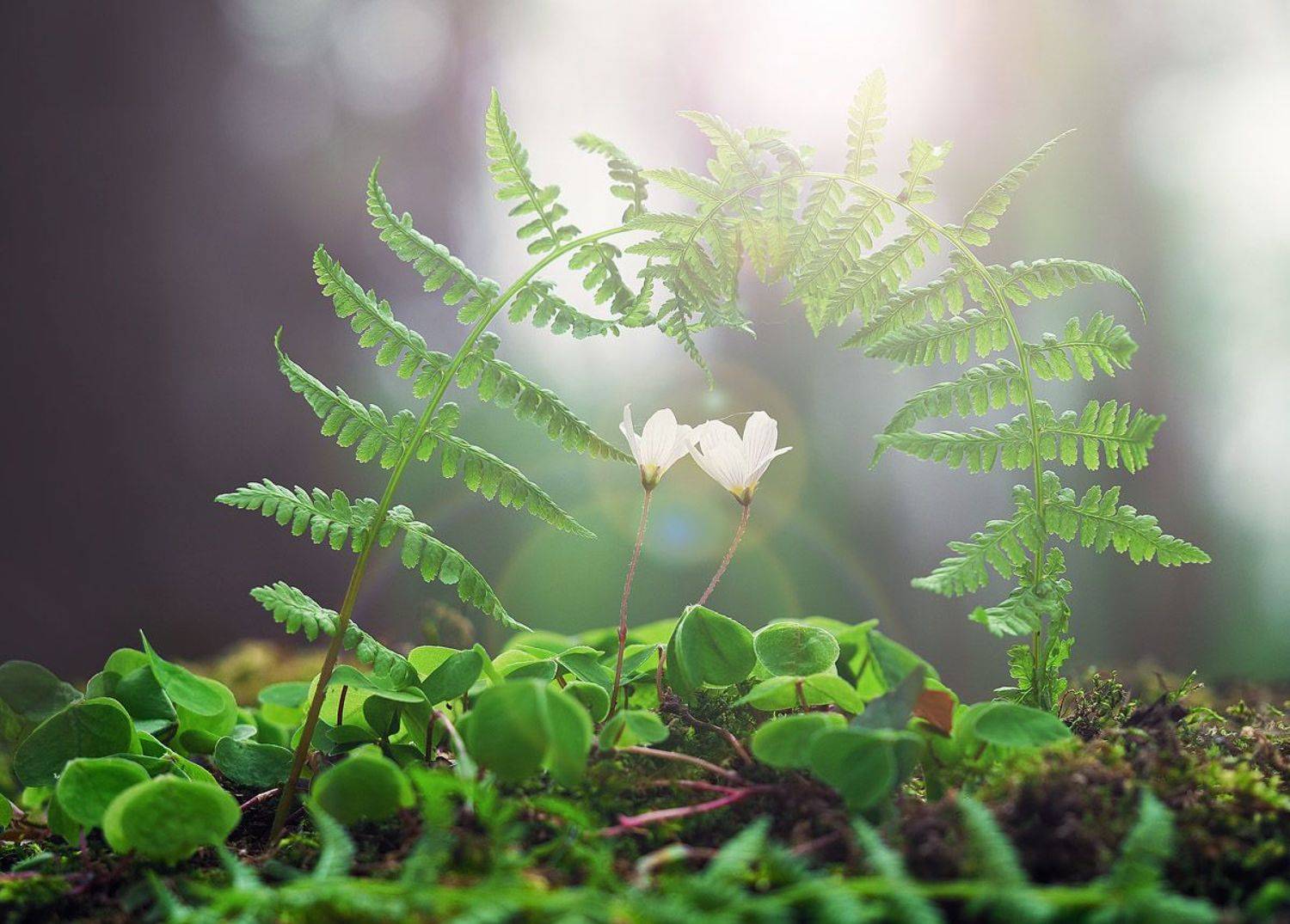 , Лукашук Евгений