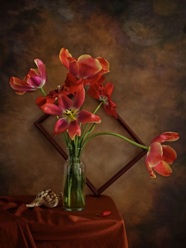 Тюльпаны.. фото превью