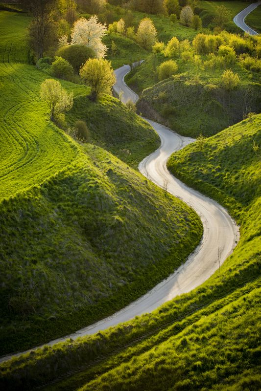 Winding road фото превью