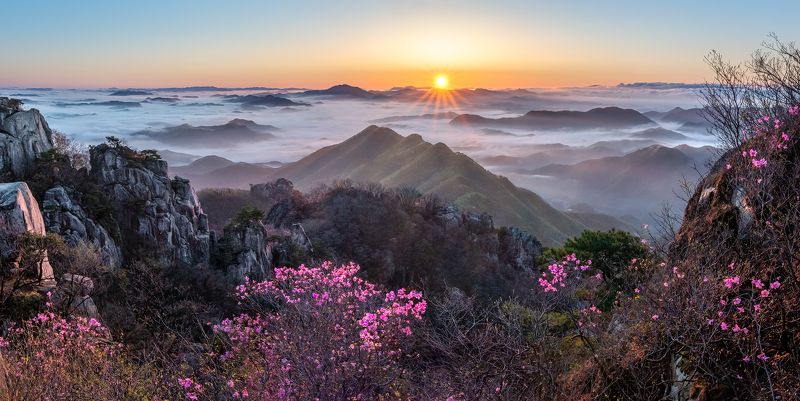 Spring Fantasy Daedunsan фото превью
