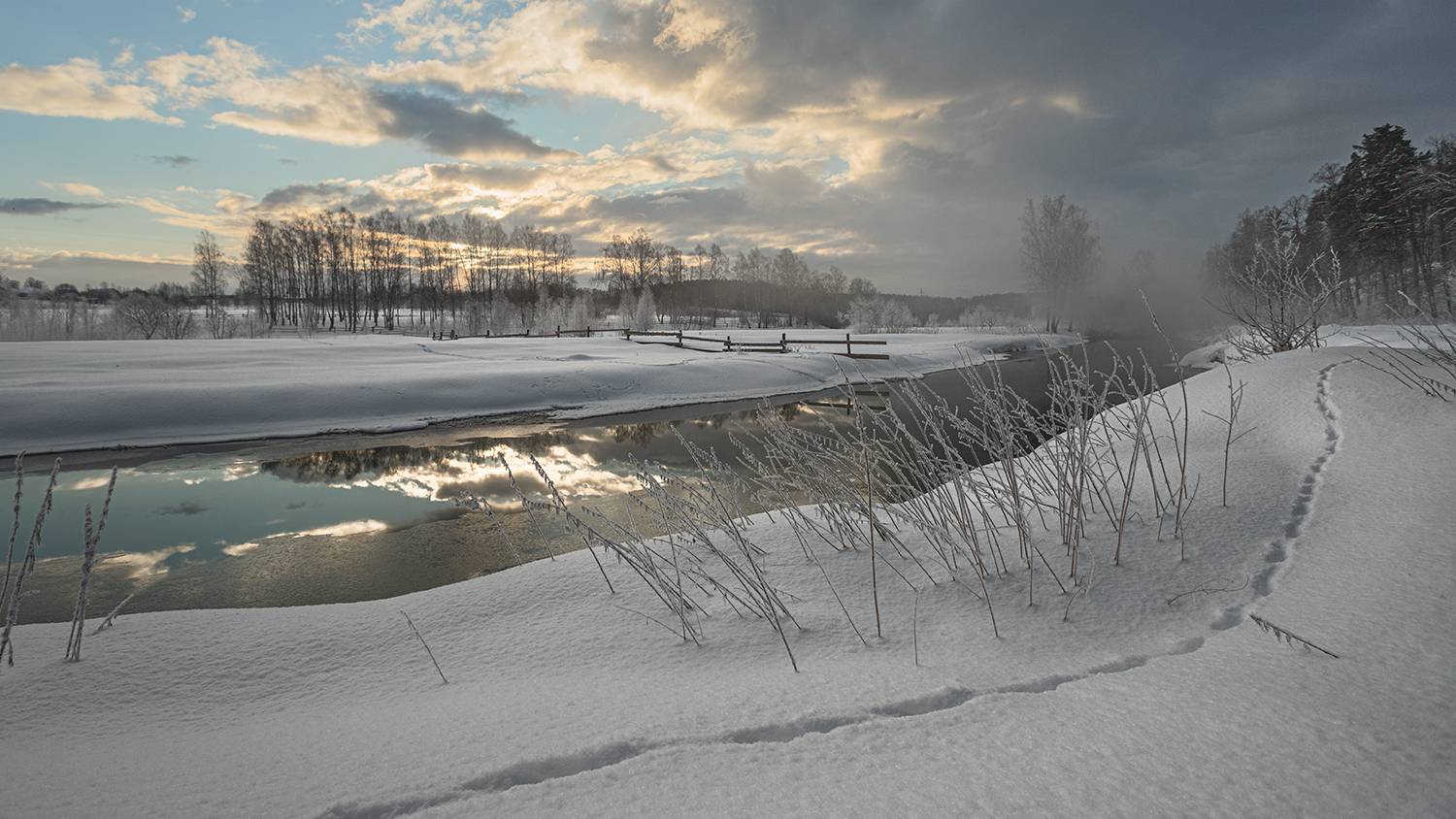 , Андреев Николай