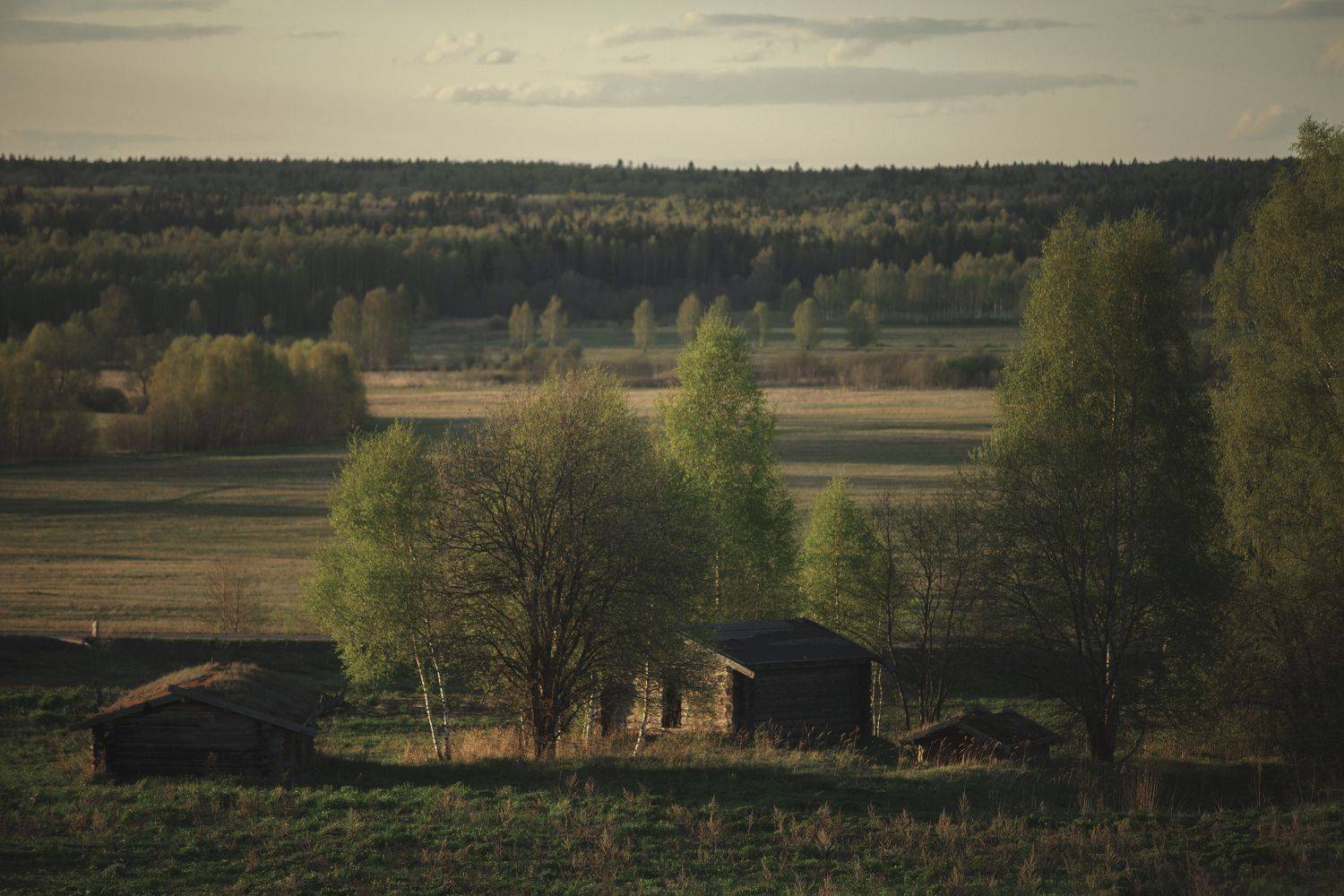 , Мария Саврасова