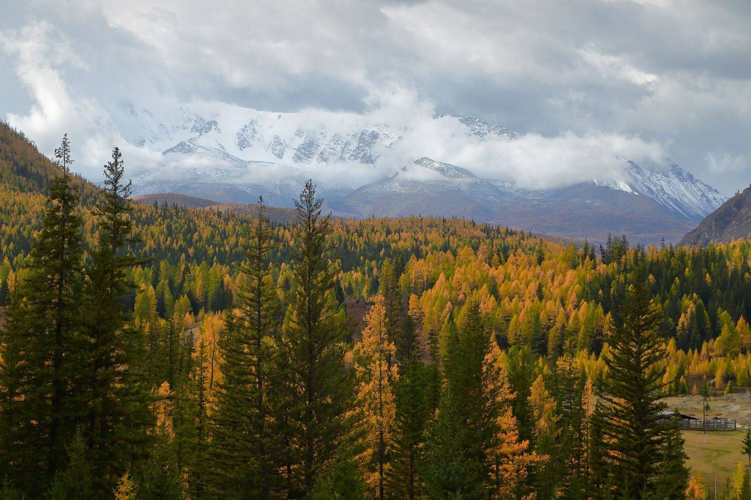 , Евгений Зинов