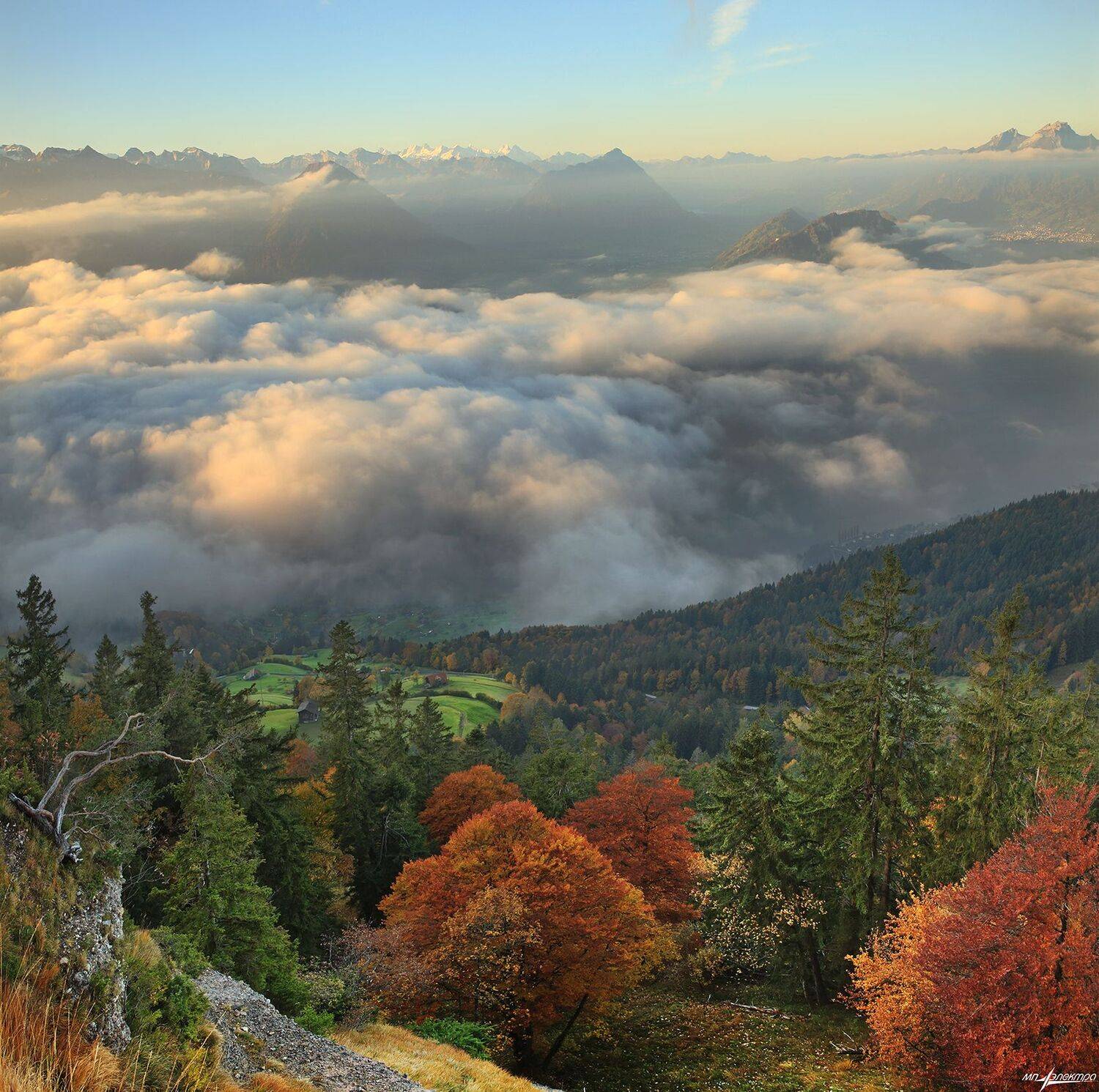 swiss,швейцария,осень,rigi, Николай Матвеев