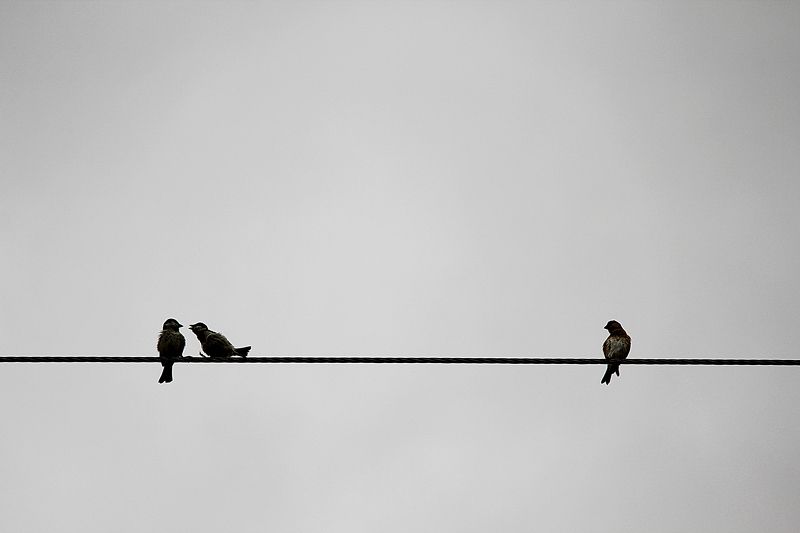 Soul meets soul on lover\'s lips. фото превью