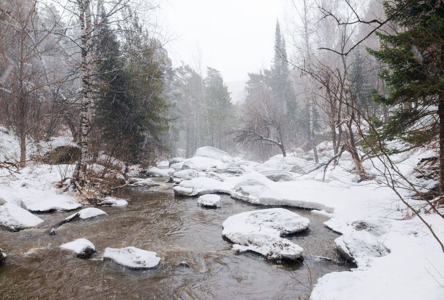 , Шустиков Дмитрий