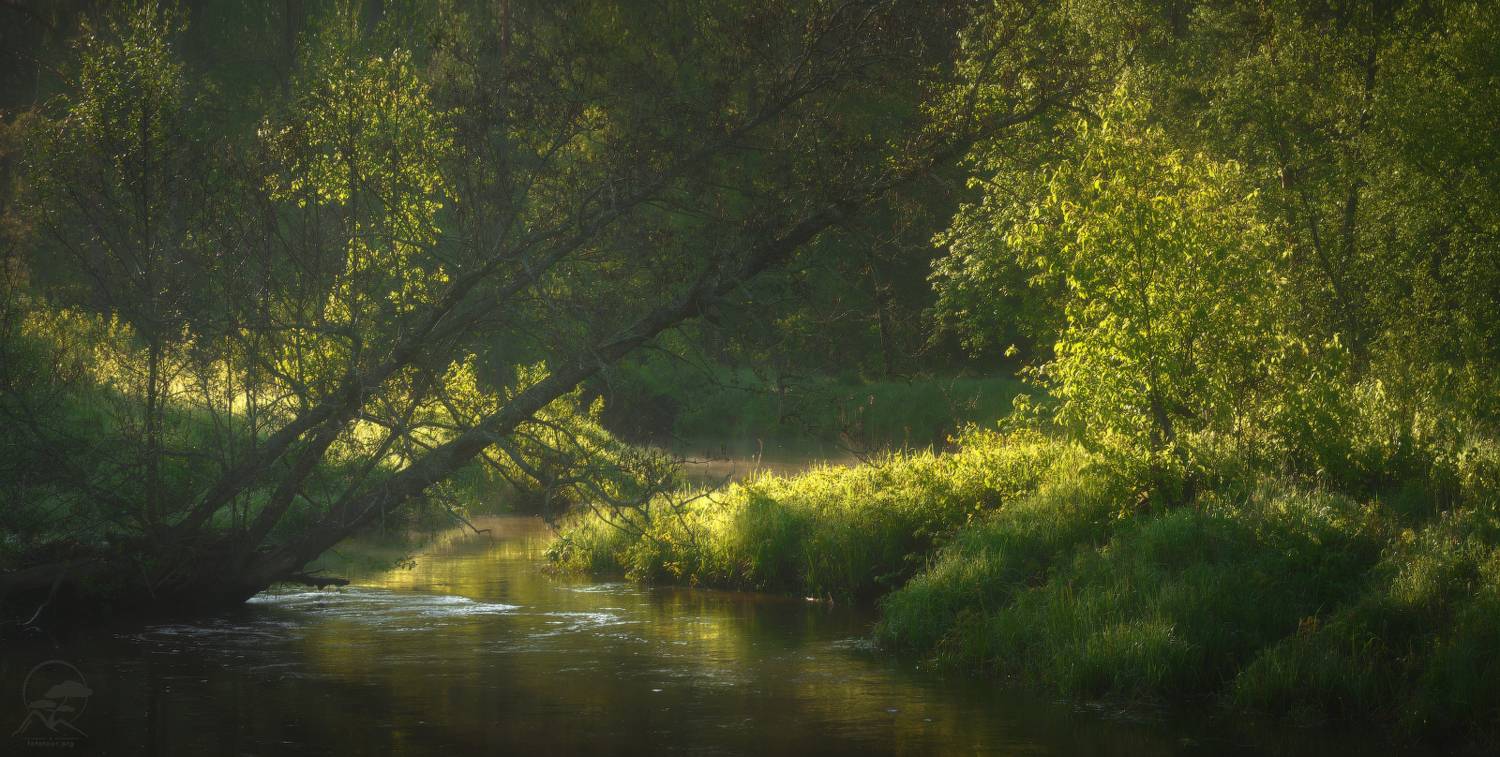 речка, утро, лето, фототуры на выходные, владимирская область, рассвет, Гордиенко Анатолий