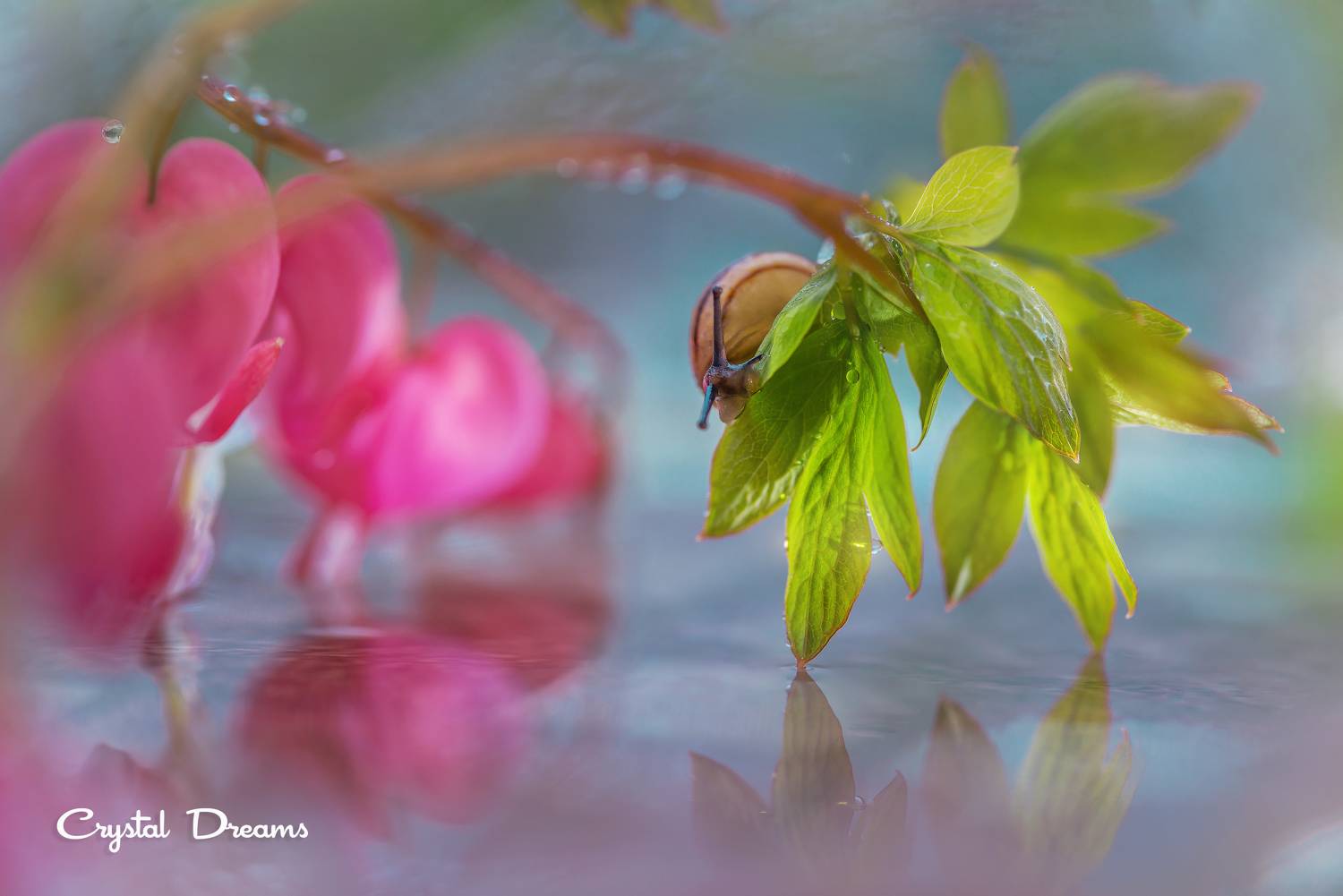 #art #macro #crystal_dreams #color #ditale, Татьяна Крылова