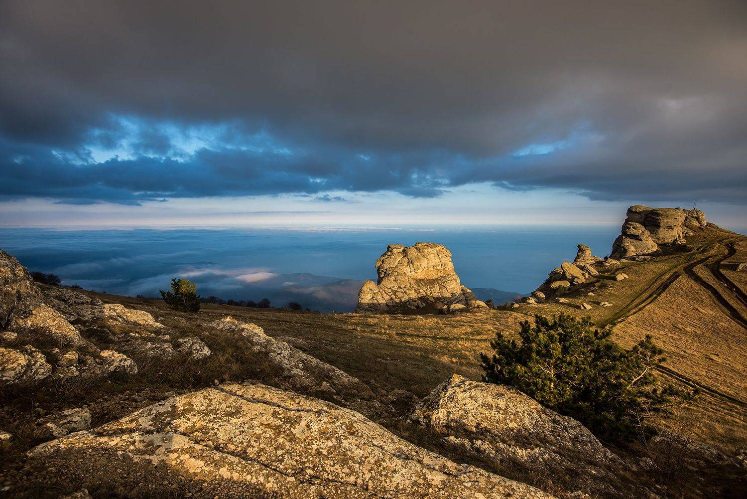крым, Юрий Коваленко