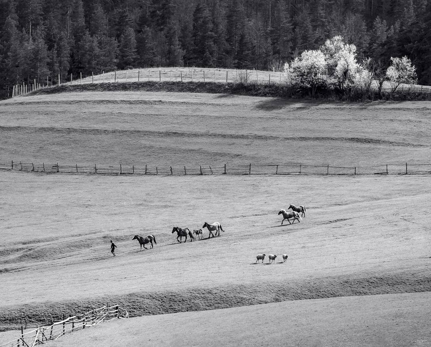 5-2=3, Mariyana Atanasova - Lucero