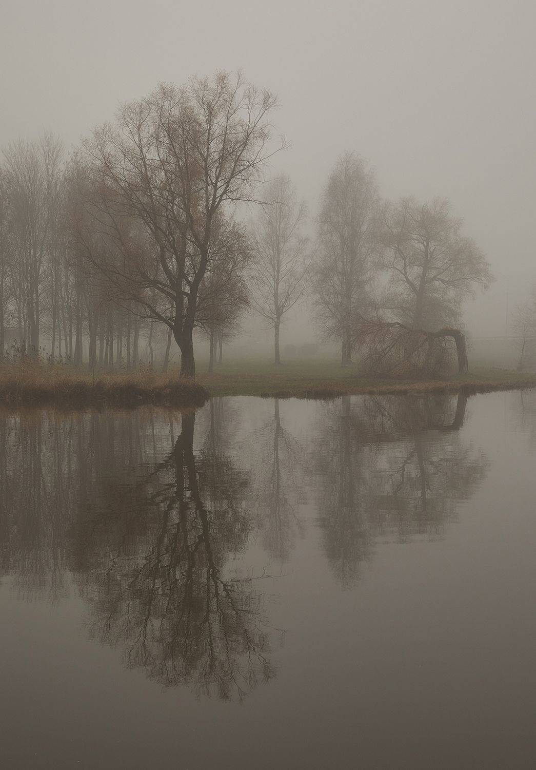 , Смыков Александр(OmRam)