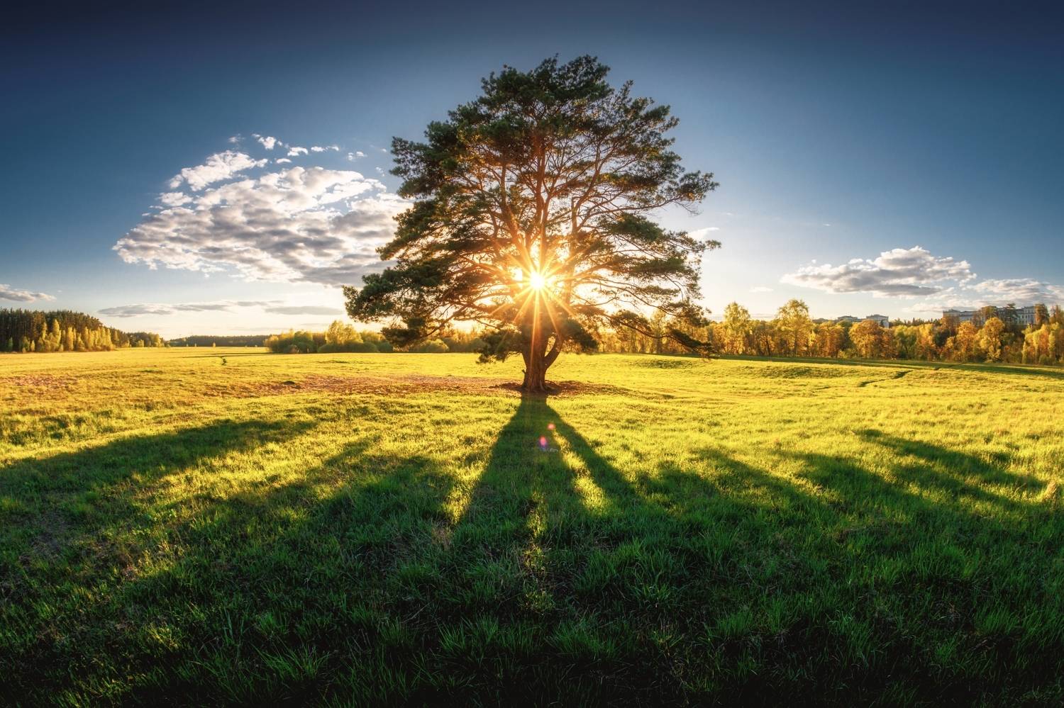 , Котов Андрей