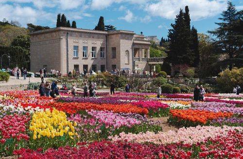 Парад тюльпанов 2023 год.