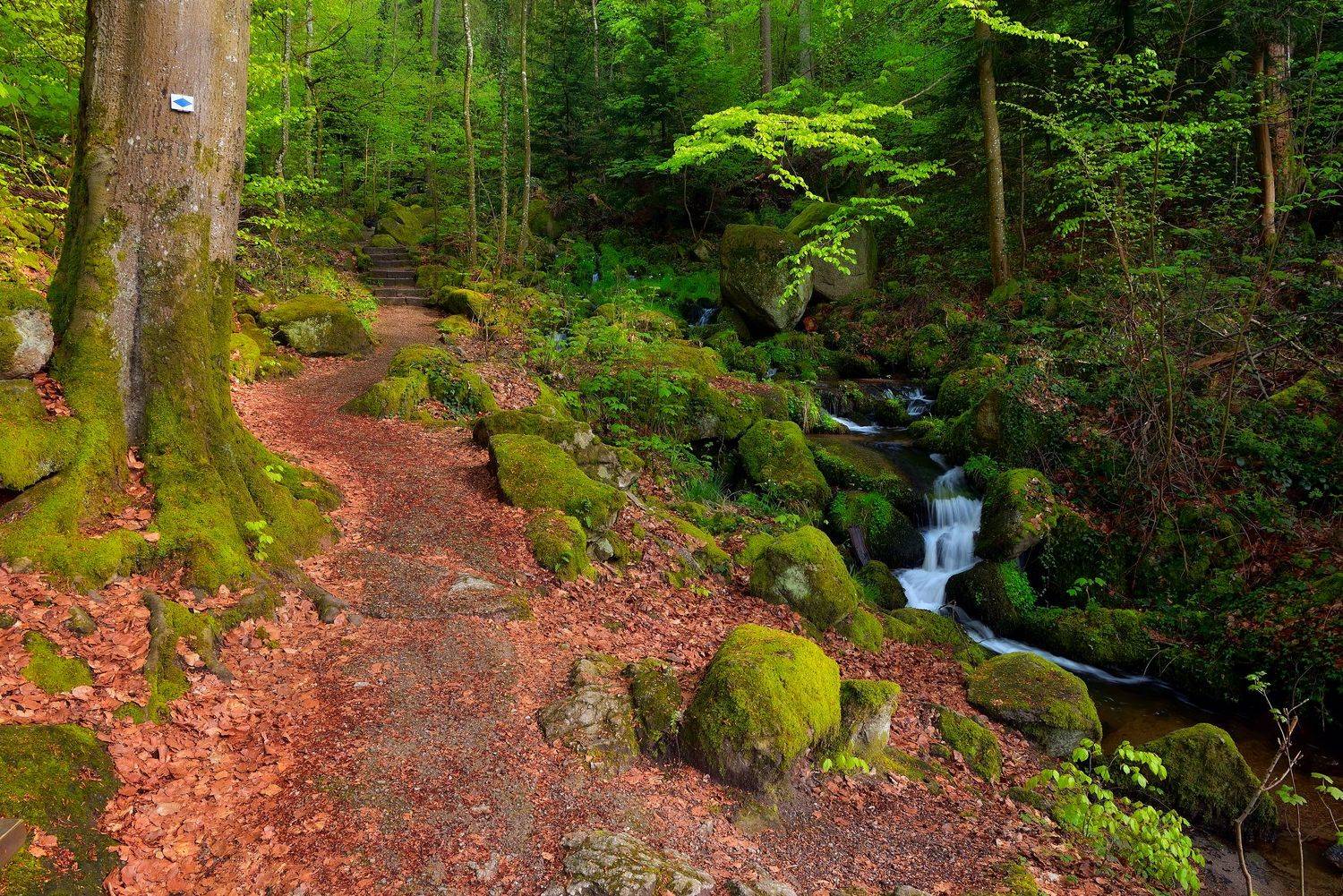 , Руслан Авдевич