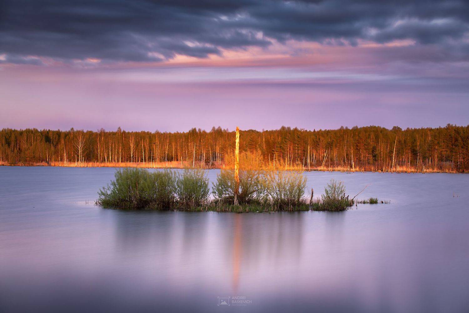 , Андрей Баскевич