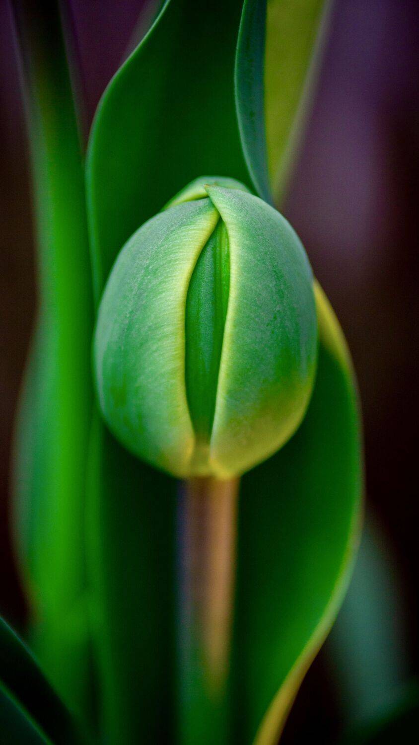 , Сергей Фаренюк