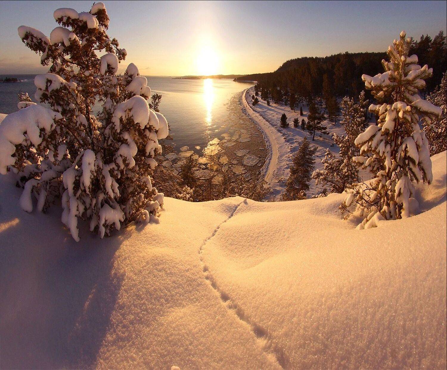 , Петр Косых