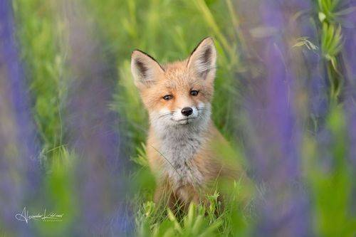 Скоро лето...