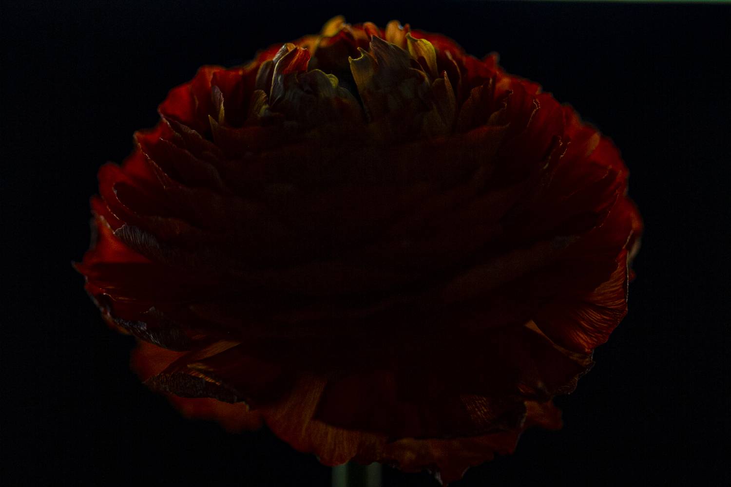 , Малышев Алексей