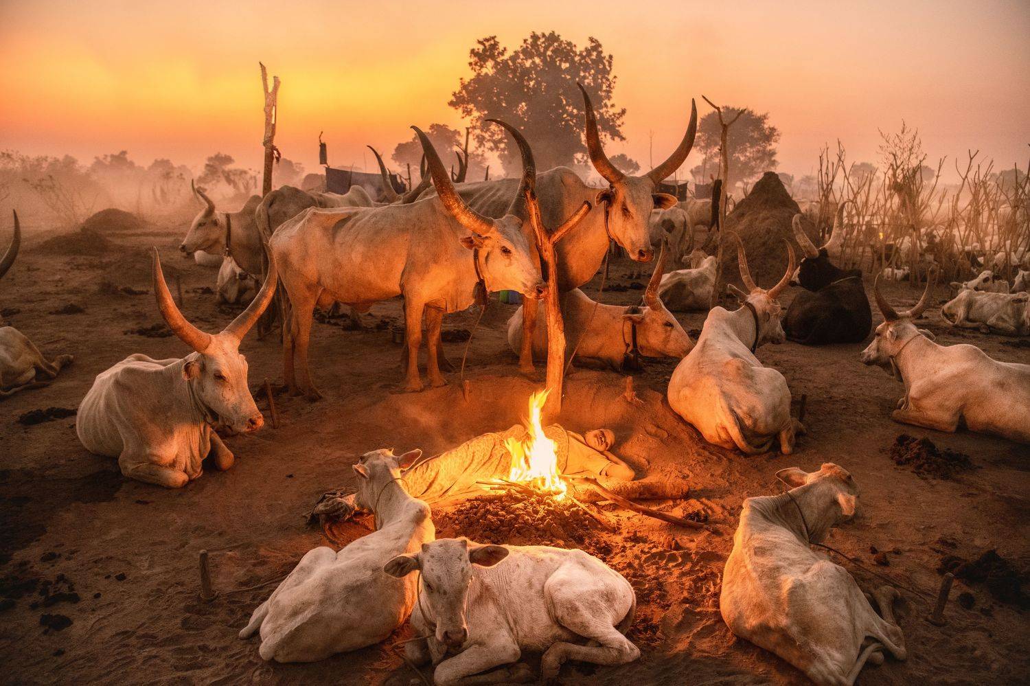 Mundari, tribe, cattle camp, South Sudan, Central Equatoria, culture, Trevor Cole