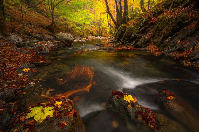 Autumn serenity