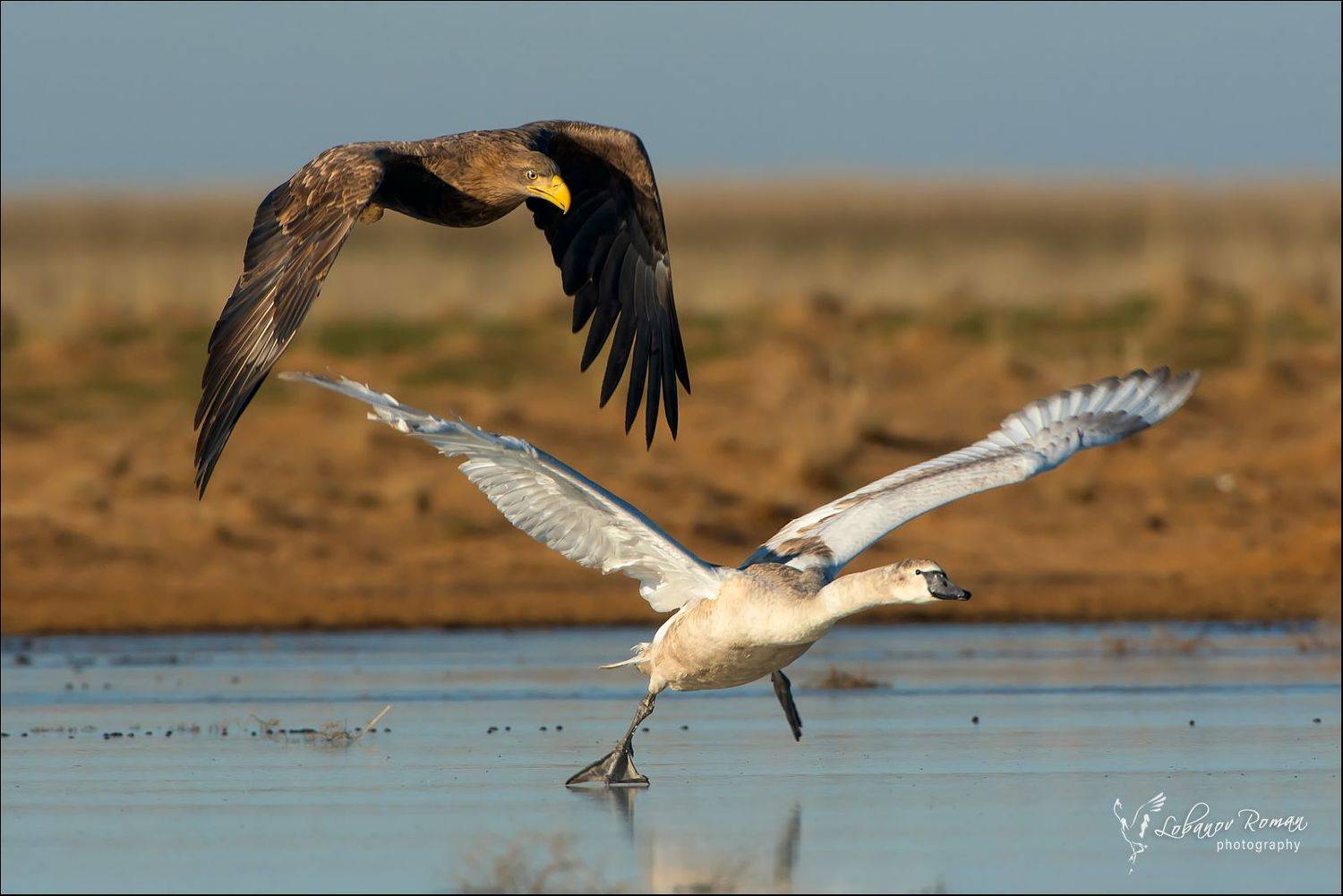заказник, степной, астраханская, область, лобанов, Роман Лобанов