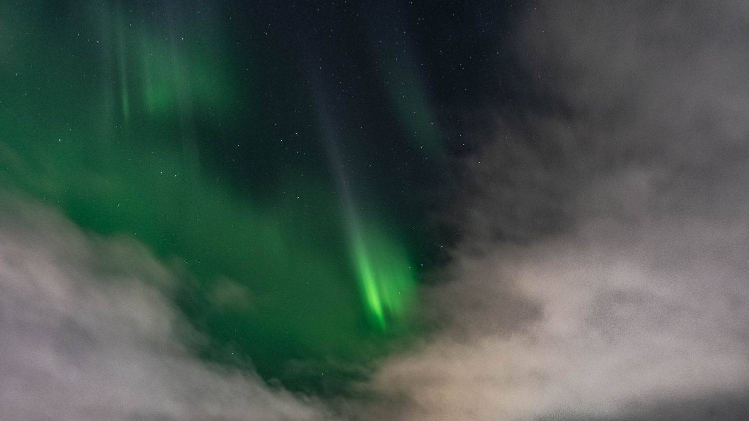 , Сергей Каверин