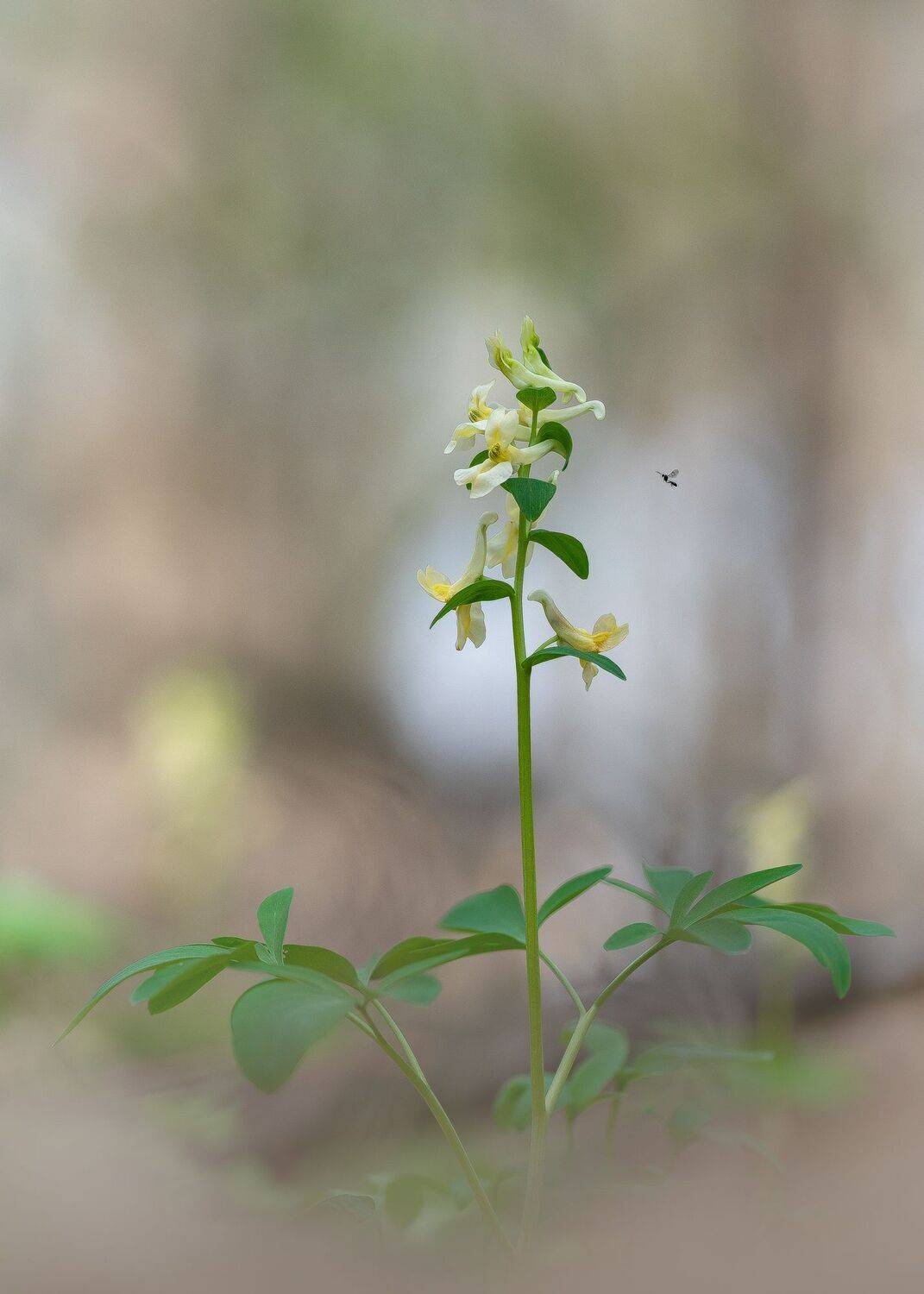 , Кузнецов Дмитрий