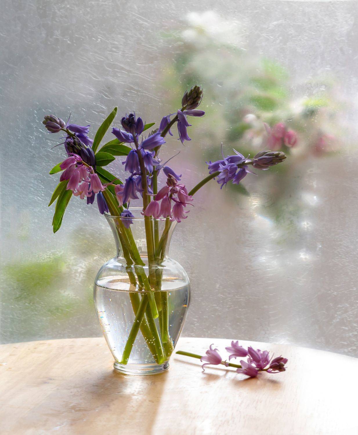 натюрморт,гиацинты,декор,весна,макро,цветы,флора,листья,ваза,лепестки,, Антонина Яновска