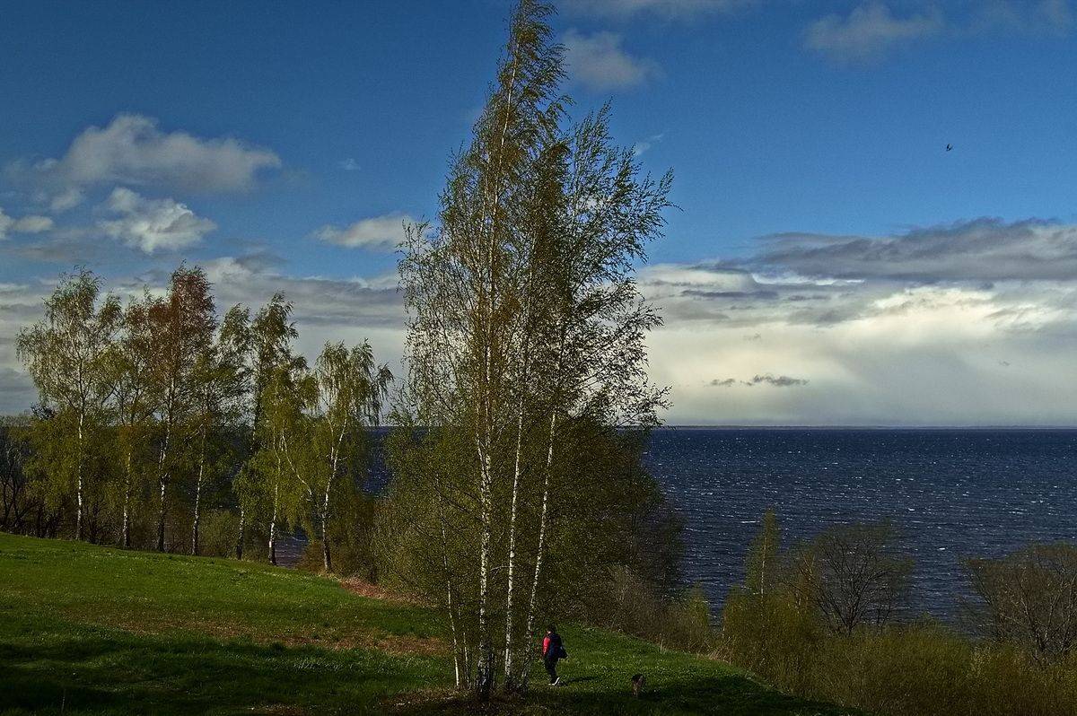 , Николаев Владимир