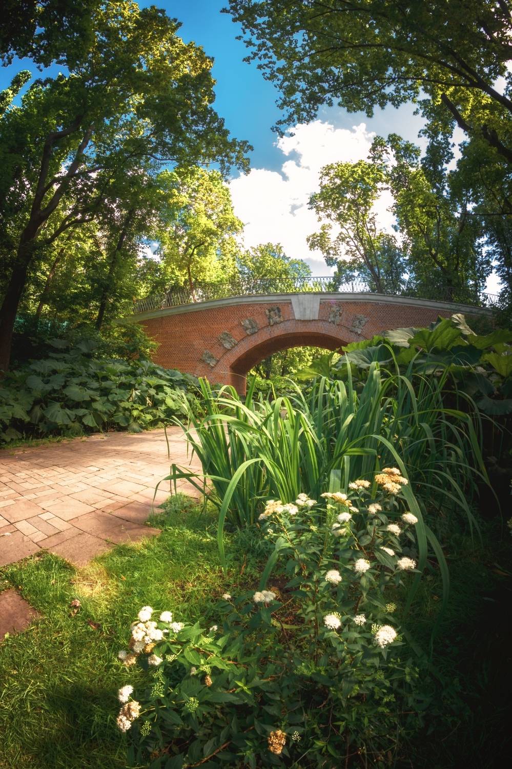 , Котов Андрей