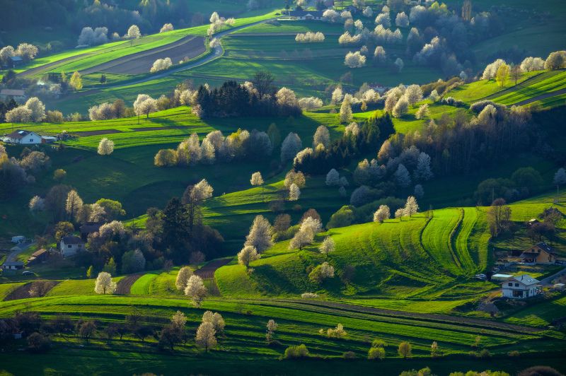Slovakia, polana, podpolanie, hrinova, nikon Magic Slovakia фото превью