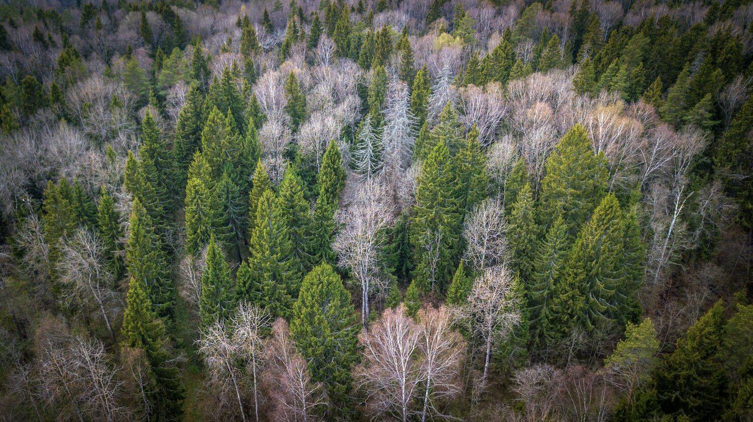 , Сергей Фаренюк