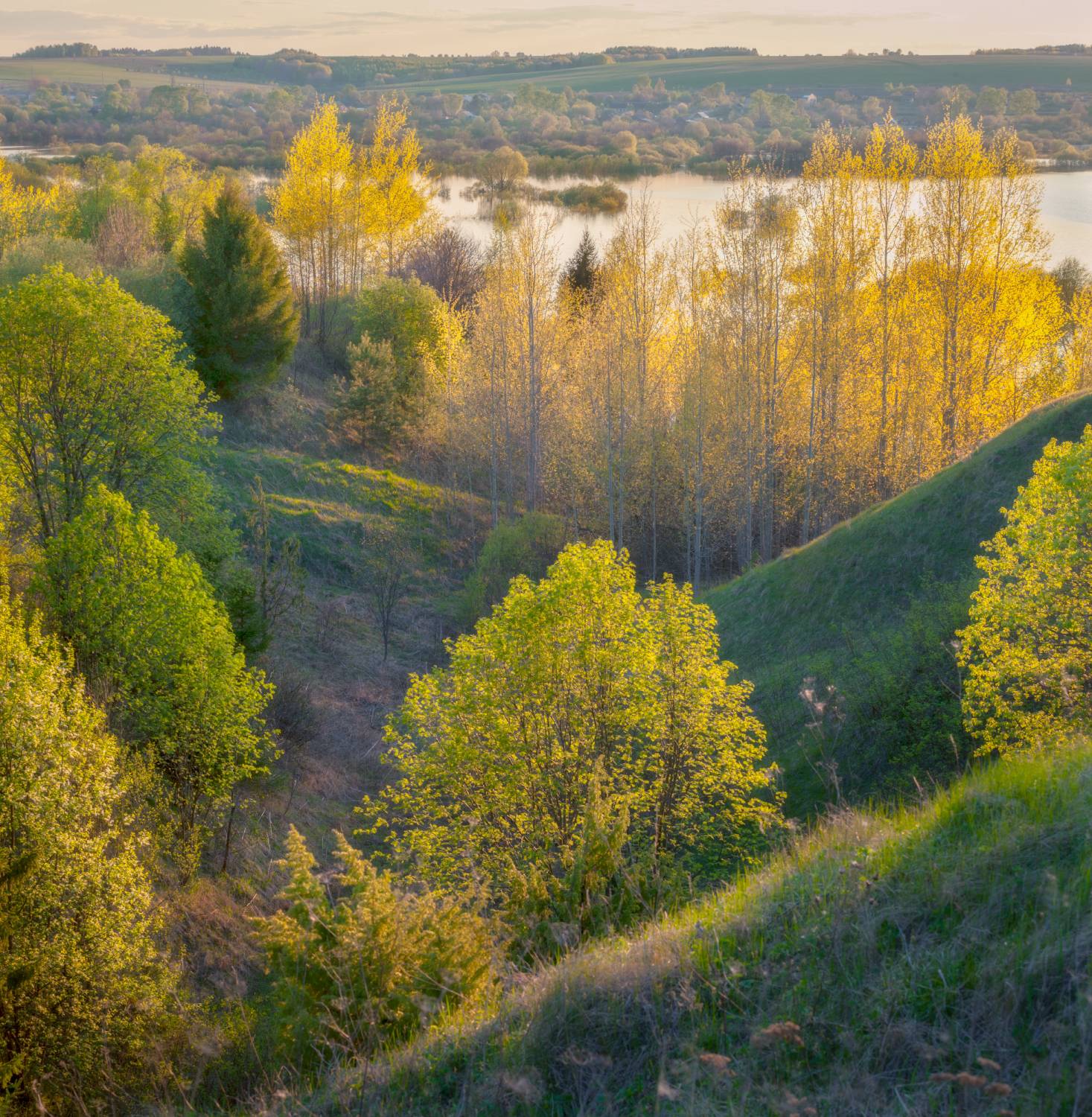 май вечер закат весна листья деревья разлив, Сергей Буторин