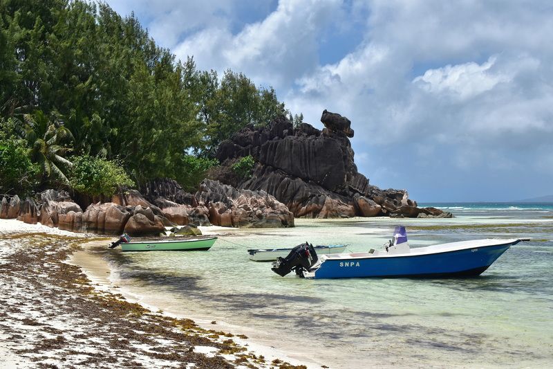 пейзаж, природа, путешествие Сейшельские будни фото превью