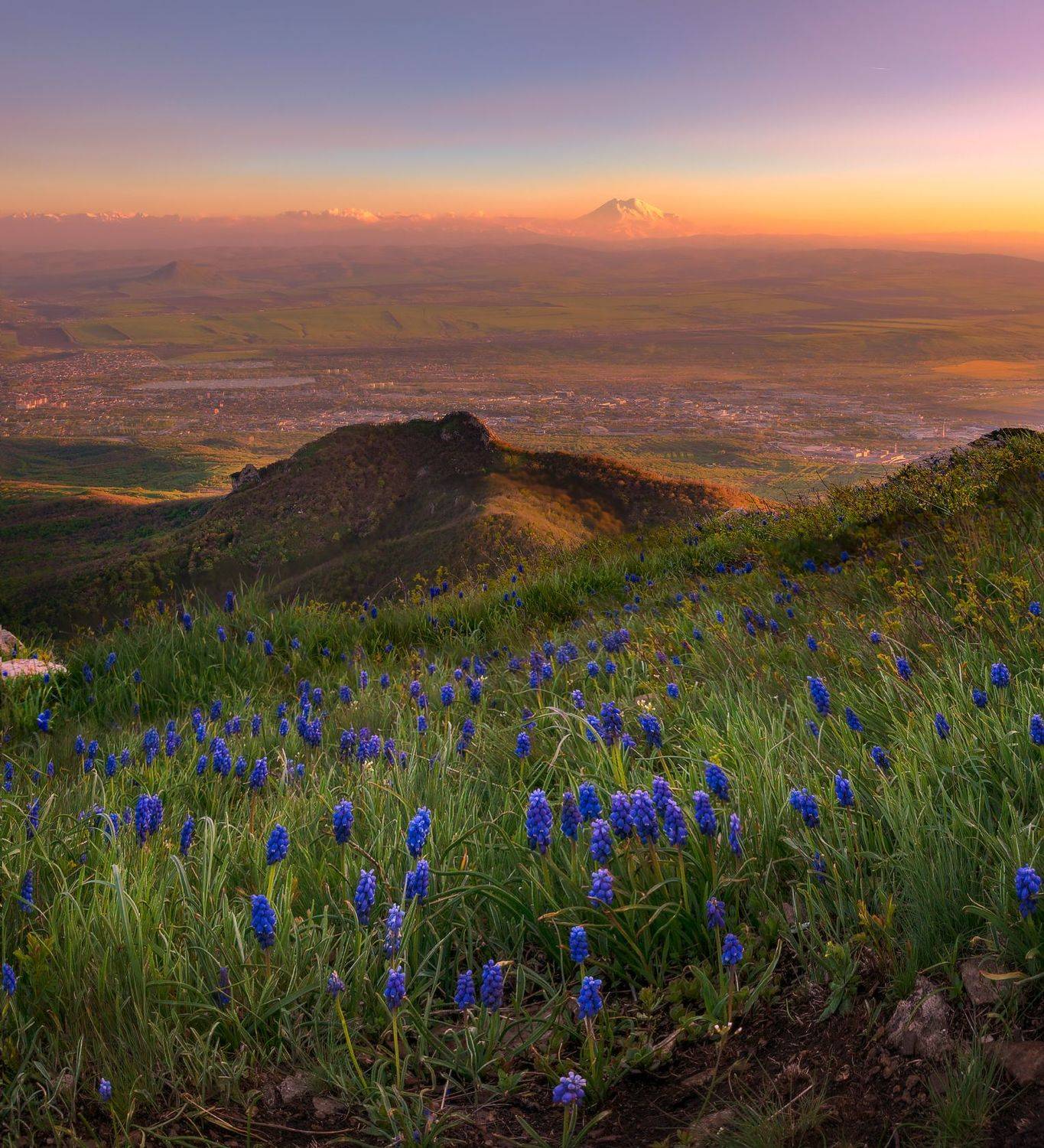 закат,бештау,эльбрус, кмв,мускари,весна, Елена Брежицкая