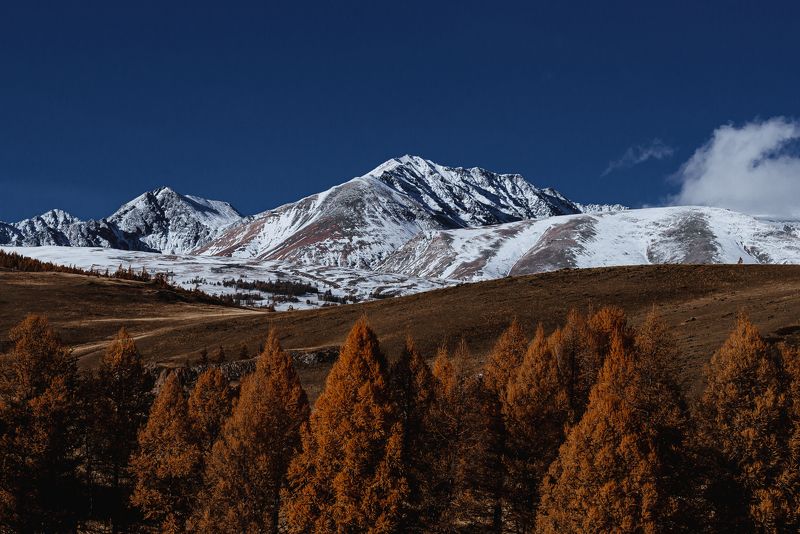 горы, горный алтай, чуйский тракт, пейзаж, алтай, дорога, россия Чуйский тракт фото превью