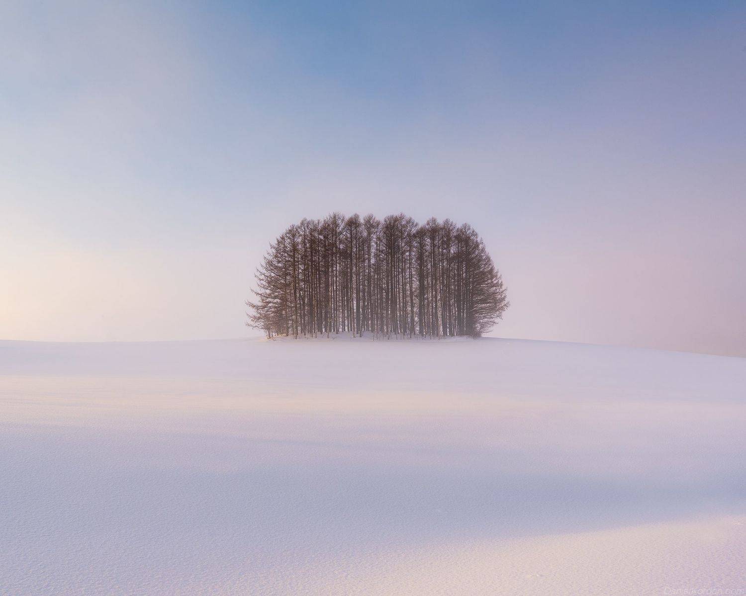 , Даниил Коржонов